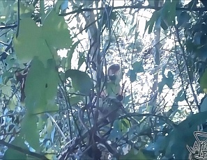 061516_hot_forest_blowjob_from_a_really_hot_blonde_then_fucking_back_at_the_apartment_cum_on_her_face